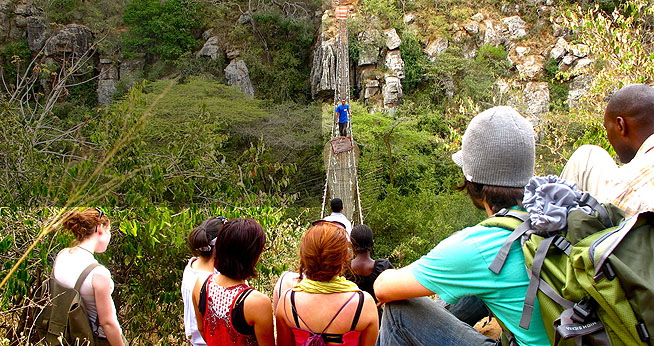 Students cross a suspended bridge in a tropical forest.